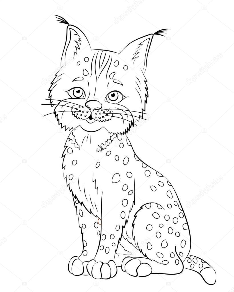 Bobcat line on white background. Contour cartoon vector illustration with animal. Isolated sketch of lynx.