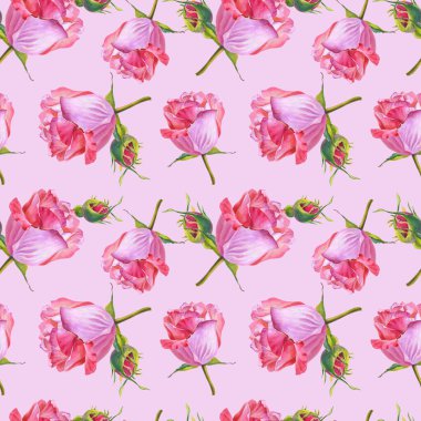 Suluboya güller. Pembe arka planda çiçekler. Çizim. Kusursuz desen..
