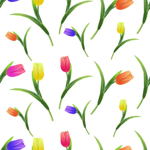 Krásný Jarní Bezešvý Vzor Žlutými Červenými Fialovými Tulipány Květy Bílém — Stockový vektor