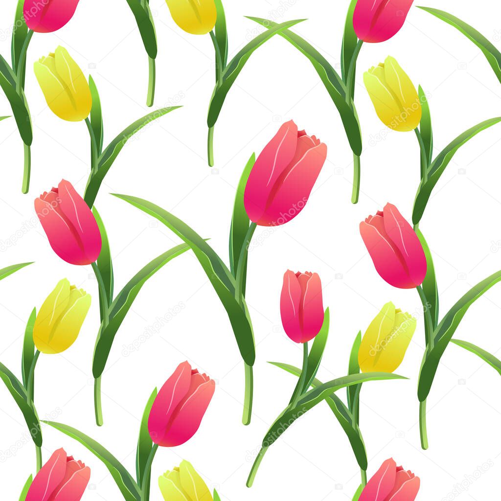Beautiful spring seamless pattern with Yellow,red tulips.The flowers on a white background.Vector illustration.Print for gift wrapping,fabric,paper,postcards and website design.