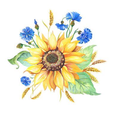 Yeşil yapraklı ayçiçeği, mısır çiçeği, buğday tanesi. Beyaz arkaplanda Helianthus bileşimi izole edildi.