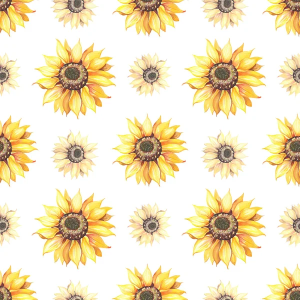 Zonnebloem naadloze patroon.Realistische illustratie met grote gele bloemen op witte achtergrond. — Stockfoto