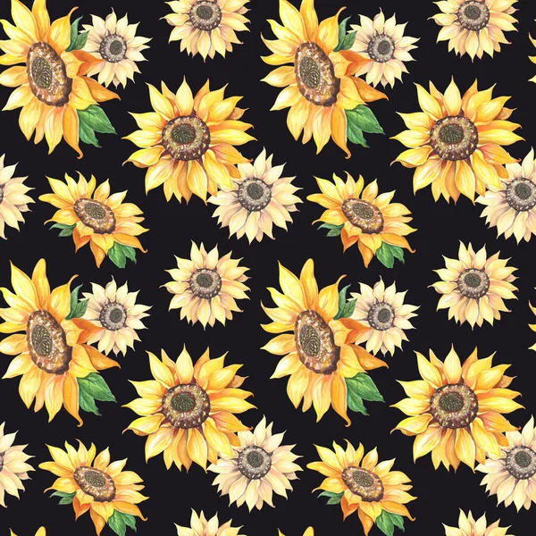 Siyah arka planda ayçiçeği. Kusursuz yaz desenleri. Sarı çiçekli gerçekçi illüstrasyon..