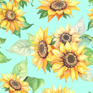 Ayçiçeği desensiz. Büyük sarı Helianthus çiçekli gerçekçi bir illüstrasyon.