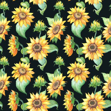 Siyah arka planda ayçiçeği. Kusursuz yaz şablonu. Sarı çiçekli gerçekçi illüstrasyon.