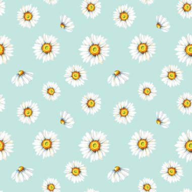 Açık mavi arka planda şirin beyaz papatya çayı. Suluboya Soyut ve pürüzsüz desen