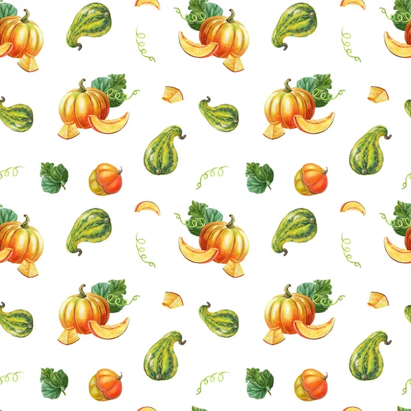 Orange pumpkin,green striped zucchini on white background. — Stock Photo, Image