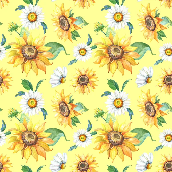 Suluboya Ayçiçeği, sarı arka planda beyaz papatya çayı. Yaz, sonbahar