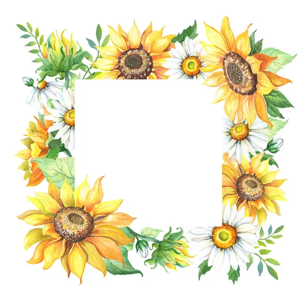 Frame of yellow sunflower,white chamomile. Greeting card with gelianthus, daisy. — Stock fotografie