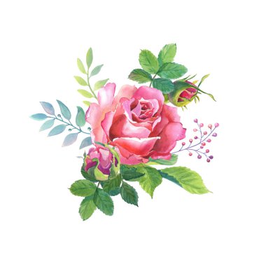 Yapraklı suluboya kırmızı gül. Beyaz arkaplanda suluboya çiçek kompozisyonu.