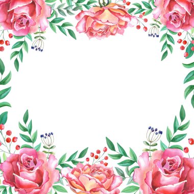 Watercolor pink Roses with green leaves on the white background.