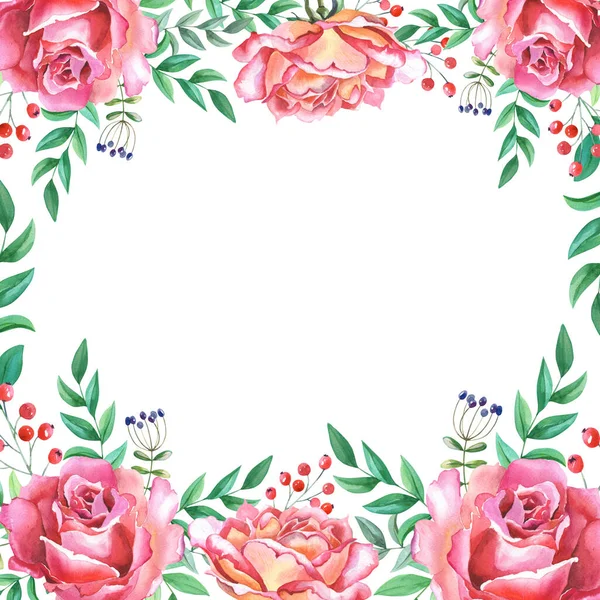 Watercolor pink Roses with green leaves on the white background. — Foto de Stock