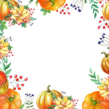 Turuncu kabaklı suluboya çerçeve, sarı gül, yeşil yapraklar. Beyaz arkaplanda suluboya çizimi. Sonbahar hasadı. Taze vejetaryen yemekleri. Şükran Günü tatili. İzole edilmiş el çizimi çizimi.