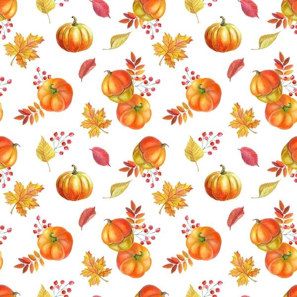 Orange pumpkin,autumn yellow leaves, red rowan berries on white background. — Stock Photo, Image