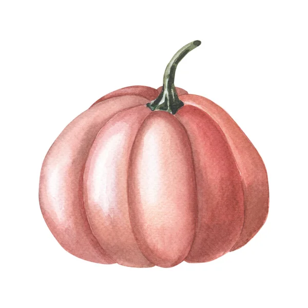 Watercolor red pumpkin. Watercolor illustration on white background. — Φωτογραφία Αρχείου