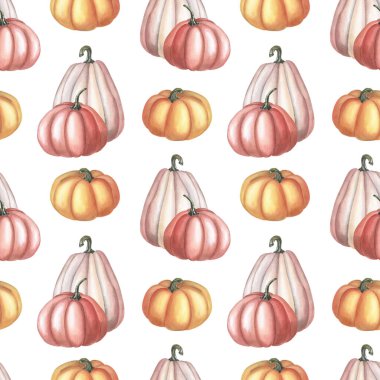 Suluboya turuncu, beyaz arka planda pembe balkabağı. Sonbahar pürüzsüz desen.