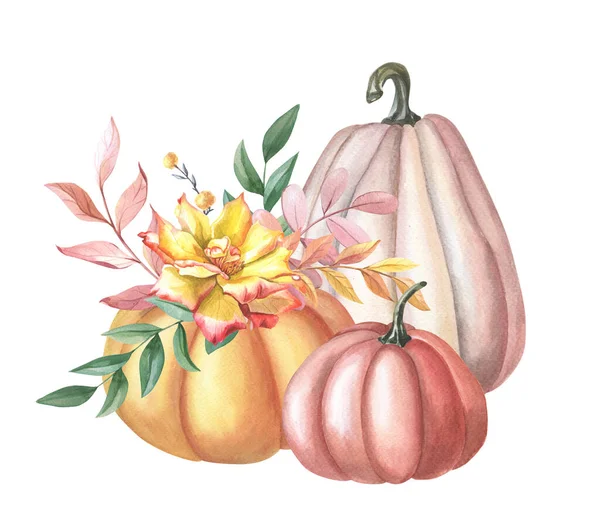 Suluboya kırmızı, turuncu balkabağı, sarı gül, yapraklar, beyaz arka planda kırmızı dut.