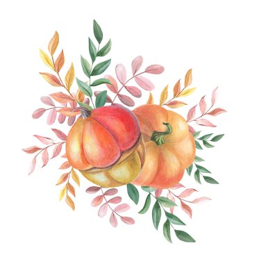 Beyaz arka planda sarı, yeşil, kırmızı yapraklı suluboya turuncu balkabağı.