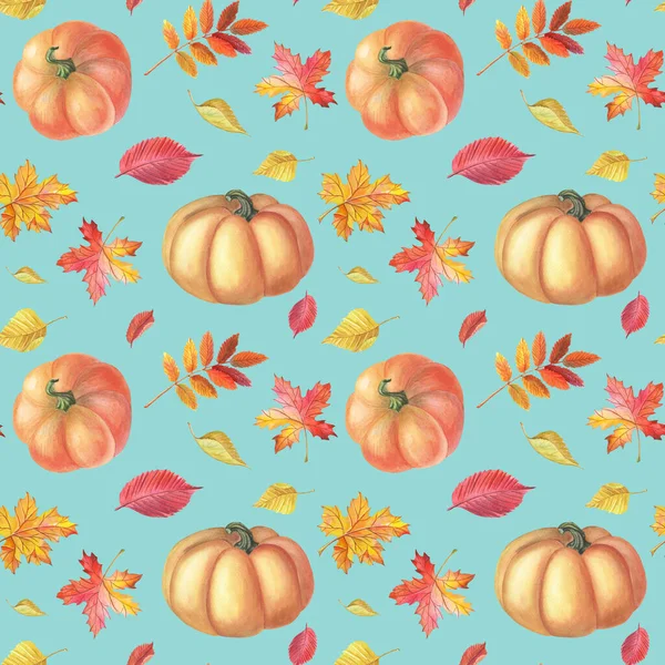 Suluboya kırmızı balkabağı ve sonbahar yaprakları açık mavi geri büyümüş. Suluboya illüstrasyon