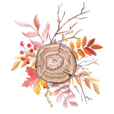 Ağaç dilimleri, çiçekler, yapraklar, böğürtlenler. Ağaç halkaları ile sonbahar kompozisyonu kırmızı, pembe gül. Ağaç kesimli suluboya çiçek süslemesi. Doğum günü kartı, düğün kartı..