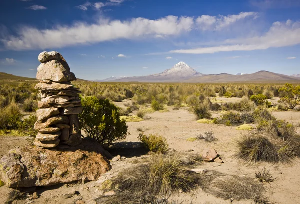 Volcán Sajama en Bolivia — Foto de Stock