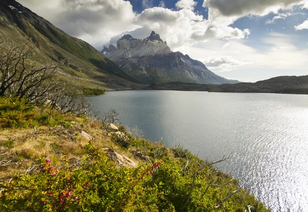 Torres del paine lake pehoe in Patagonië met rotswanden — Stockfoto