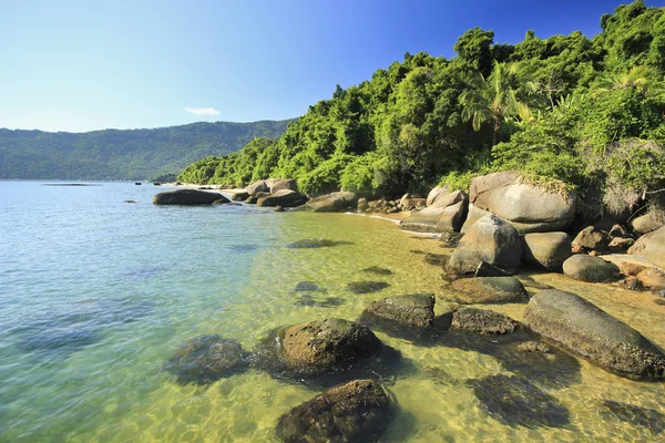 Plage tropicale avec eau verte, pierres sur le rivage et le fond — Photo