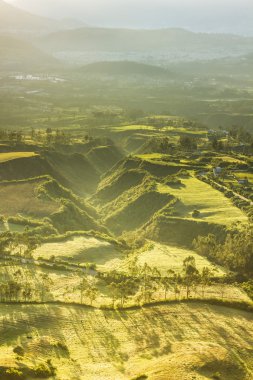sabah aydınlatma tarım Vadisi