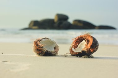 Hindistan cevizi beyaz kum Beach'te açın