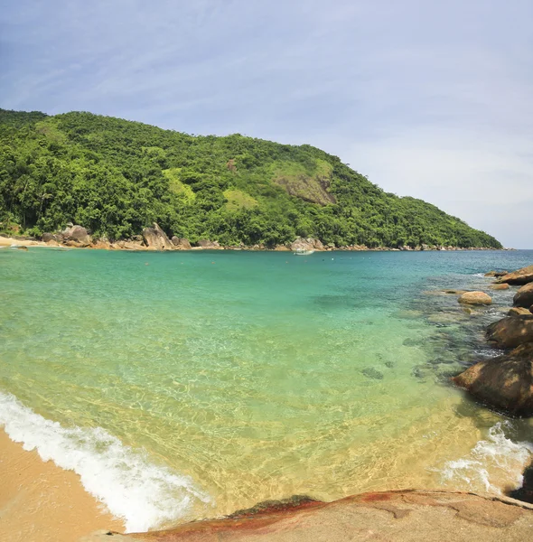 Belle plage tropicale avec eau verte — Photo