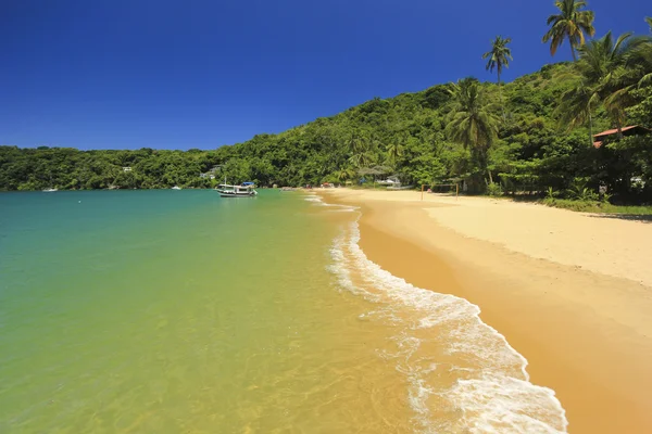 Belle plage tropicale avec eau verte — Photo