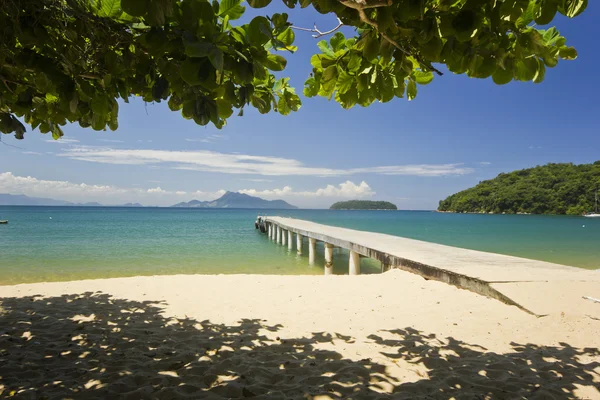 Molo in spiaggia oceanica con acqua verde e albero sopra — Foto Stock