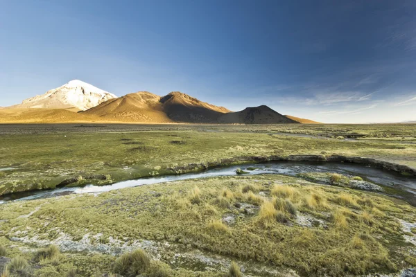 Tramonto sopra il vulcano Sajama in Bolivia con fiume — Foto Stock