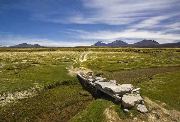 Prato e ponte sul fiume vicino al vulcano Sajama, Bolivia — Foto Stock