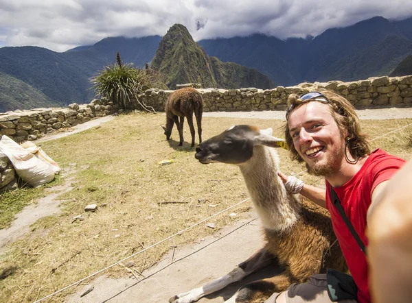 Autorretrato del hombre sonriente cerca de lama, machu-picchu, perú — Foto de Stock