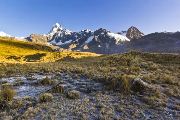 Besneeuwde bergen van de Andes bij zonsopgang en bevroren gras weide — Stockfoto