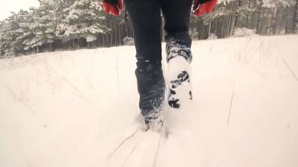 Andando na neve caminho close-up pés — Vídeo de Stock