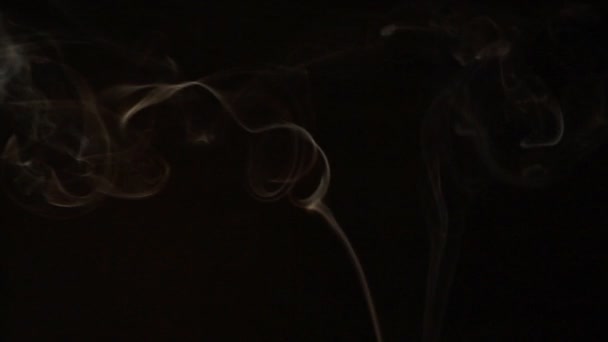 Bílý kouř na černém pozadí — Stock video