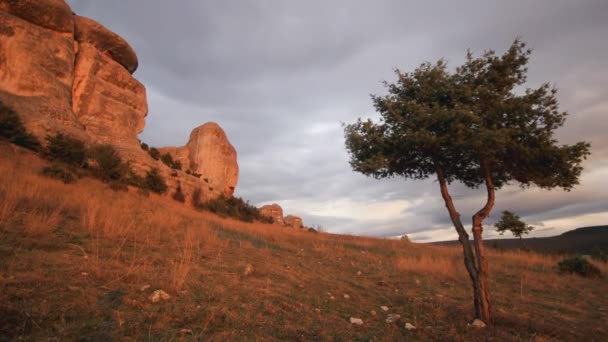 Albero di ginepro su una collina con nuvole che corrono sopra rocce di pietra — Video Stock