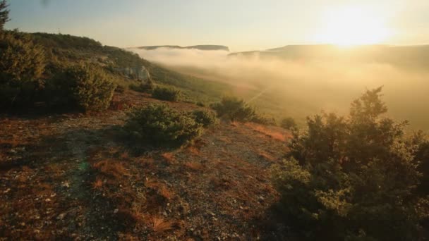 Zonsopgang boven de heuvel met juniper bomen — Stockvideo