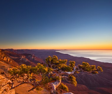 ağaç dağlar ve gündoğumu denizden hayatta kalma havadan görünümü