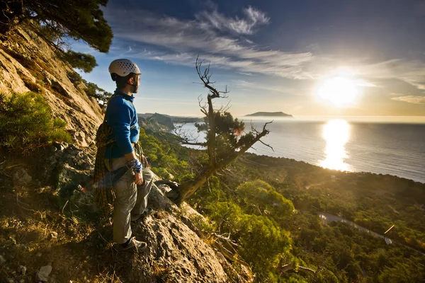 Rock climber står nära träd tittar på soluppgången — Stockfoto