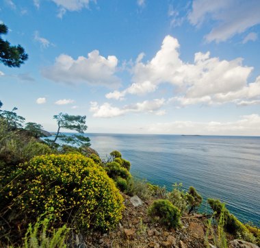 gün ışığı çalılar ile sıcak denizde yakınındaki dağlarda yolu