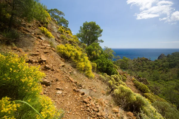 Caminho em montanhas perto do mar quente à luz do dia com arbustos — Fotografia de Stock