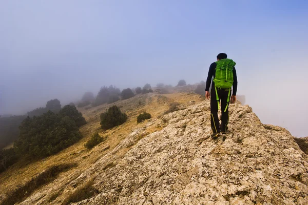 Man walking on the edge of a cliff in foggy weather — Stock Photo, Image