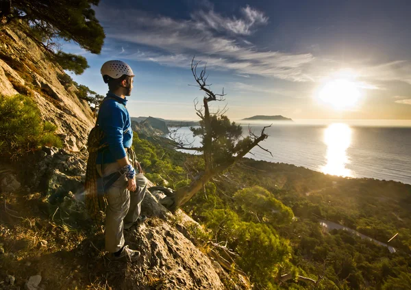 Bergsteiger steht neben Baum und blickt auf Sonnenaufgang — Stockfoto