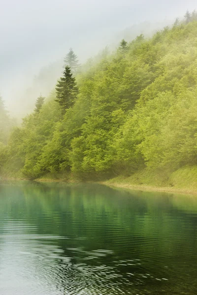 Foggy blue mountain lake with forest on hills — Stock Photo, Image