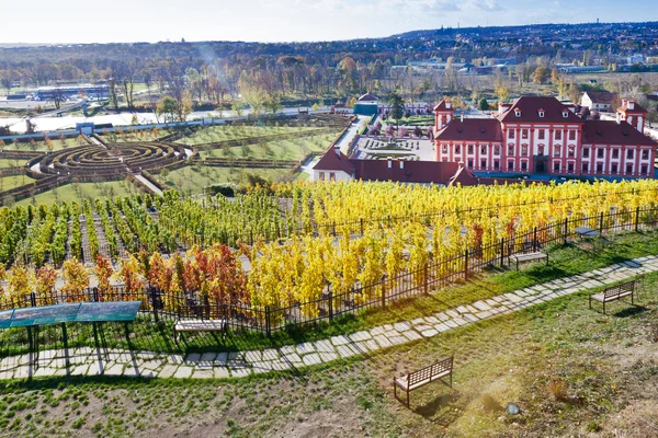 Troja slott, historiska St. Claire vingårdar, Troja botaniska trädgård, Prag, Tjeckien — Stockfoto