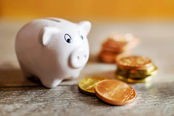 Czech Economy Nad Finance Piggy Bank Savings Czech Crown Coin — Stock Photo, Image