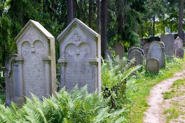 Eski Yahudi mezarlığı (Unesco), Trebic, Moravia, Çek Cumhuriyeti, Europe